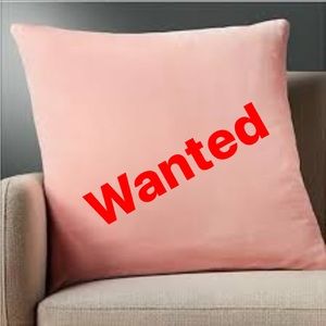 WANTED CB2 leisure pillow in blush!! If you have one let me know!